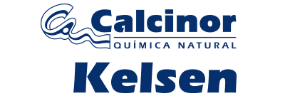 kelsen logo